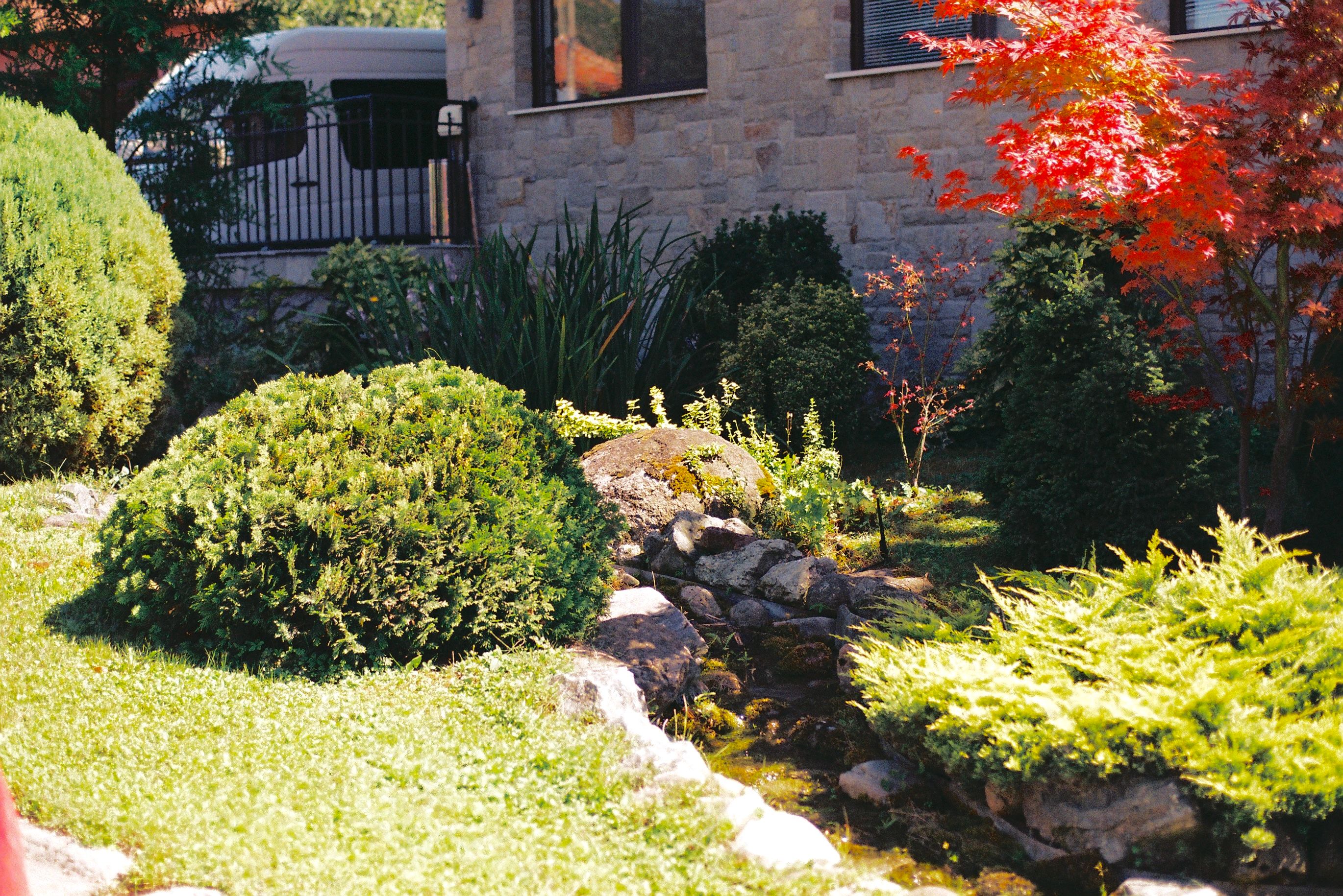 Clean green lawn bordered by maintained landscaping